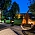 As Seen on ITVs Love Your Garden