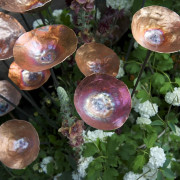 MyburghDesigns-ChelseaFlowerShow2010-48